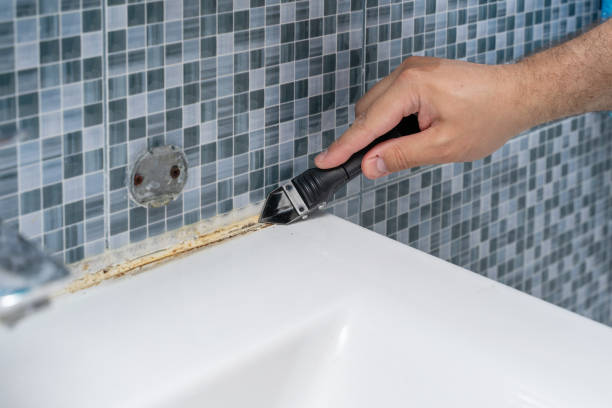 Best Post-Flood Mold Remediation in Dayton, IN